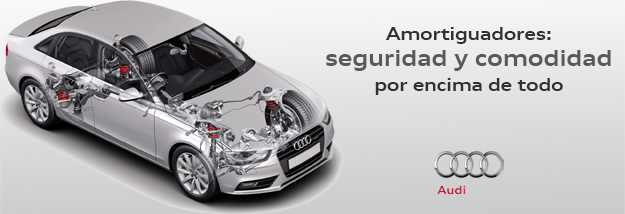 Barra antirrobo, un extra de seguridad para tu coche ofertas y promociones  de Audi Vilamòbil, Tarragona