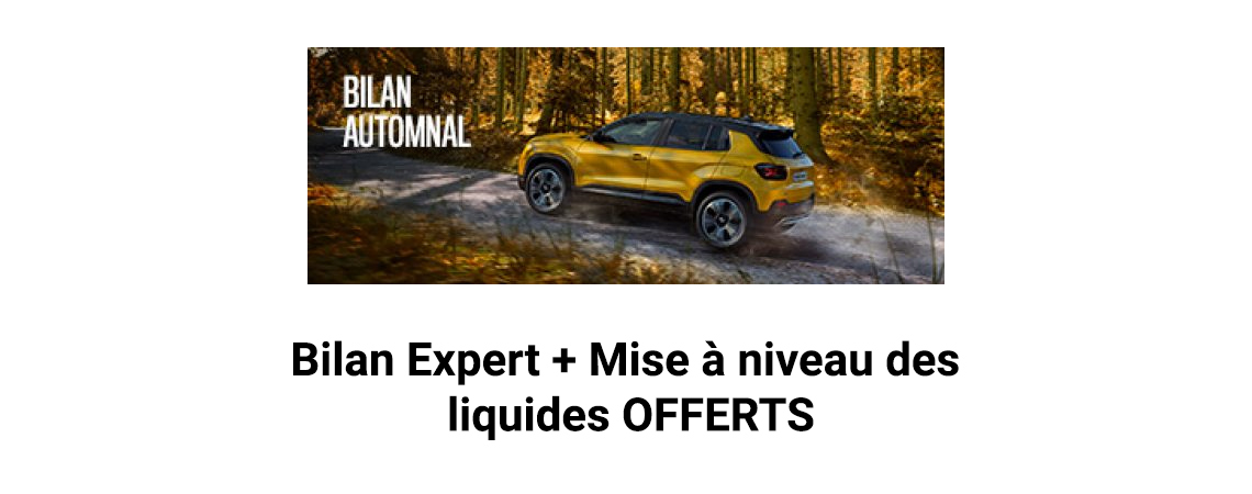 Bilan Expert + Mise à niveau des liquides OFFERTS