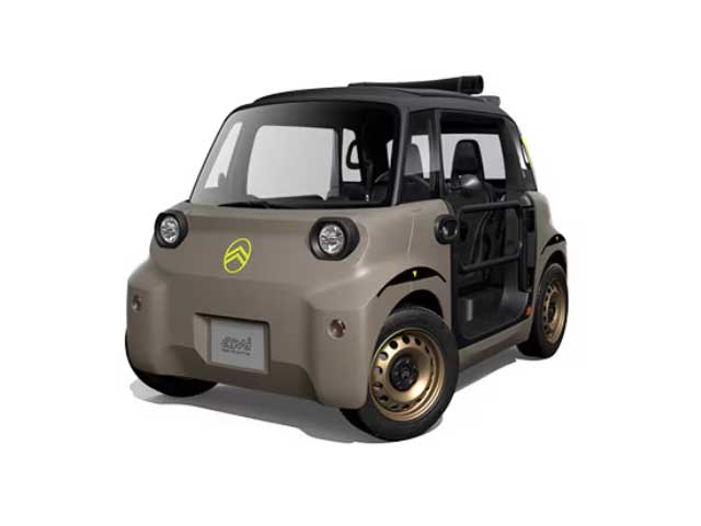 Nouvelle ami buggy Pack Palmeira​ À partir de 39 €/mois