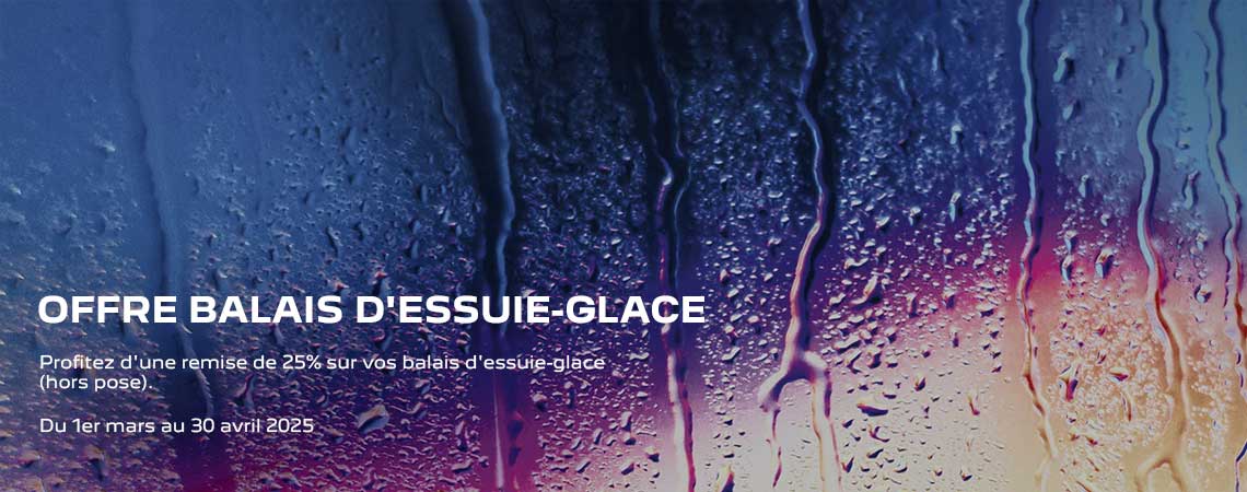 OFFRE BALAIS D'ESSUIE-GLACE