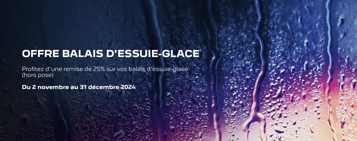 OFFRE BALAIS D'ESSUIE-GLACE