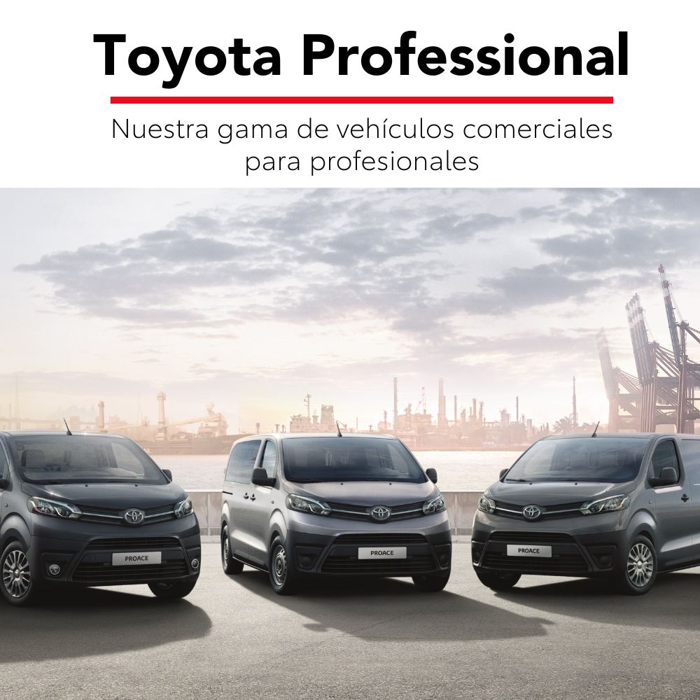 Toyota professional